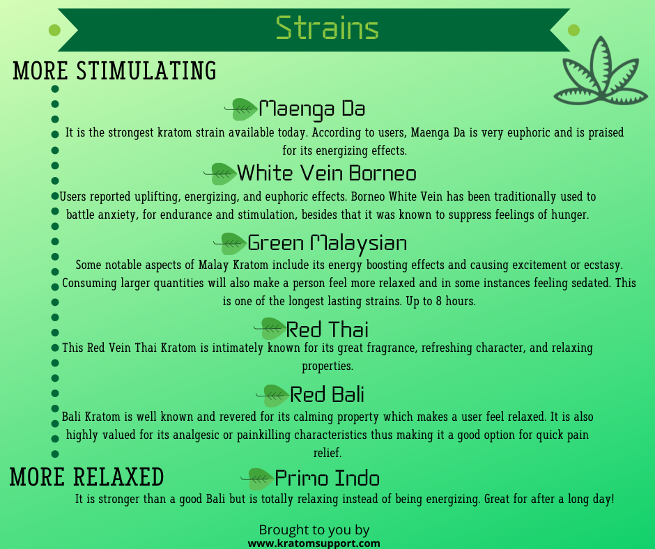 SupportKratom's tweet photo. Strains of Kratom: Which is right for you?

Visit https://t.co/ITGwHFW71b for everything about Kratom!

#kratom #kratomsupport #supportkratom #kratomvendor #buykratom https://t.co/R6umnimWVo