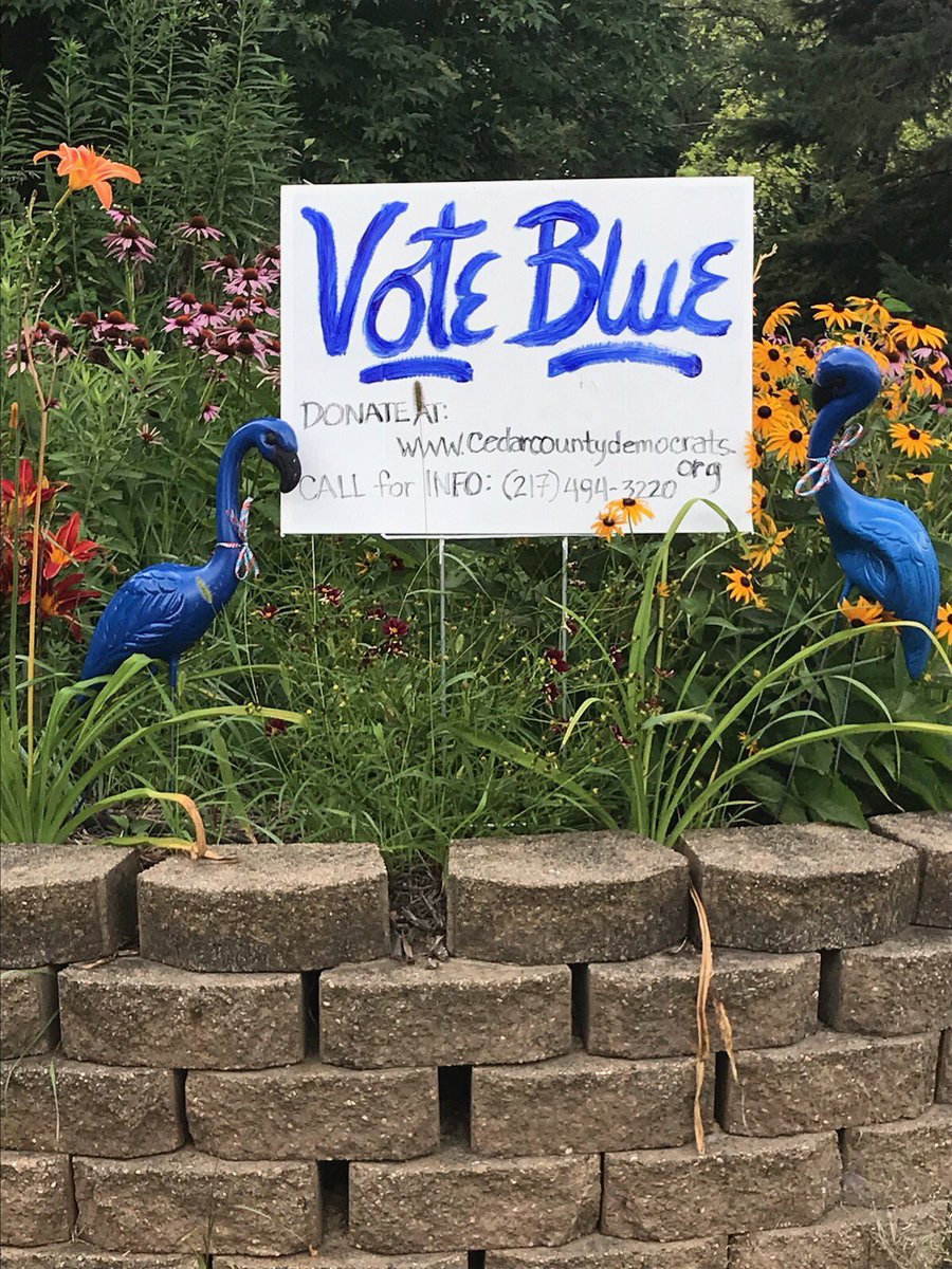 CedarIowaDems's tweet photo. Flock landing in West Branch https://t.co/h65pi6Imxg