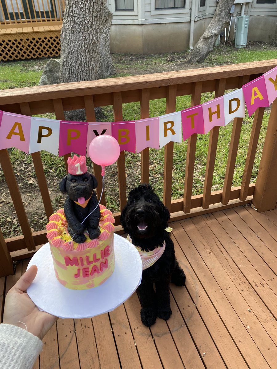 Katelynbreannek's tweet photo. I can’t believe my baby is 1 year old!💕 https://t.co/IKDIVobAV3