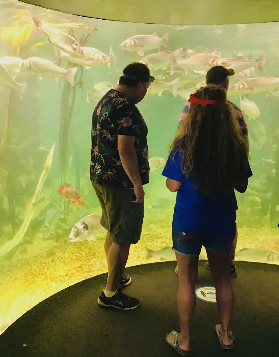 angleseyseazoo's tweet photo. A flying visit from our friends @wynneevans (aka Mr GoCompare) @RupertMoon 🏈 today. Enjoy the rest of your road trip 🚐 🦀 and come again soon 👋🏻   @tenovuscancer @Wales2Win @GoNorthWales #touchpool #spidercrab https://t.co/W3xGF6J6v2
