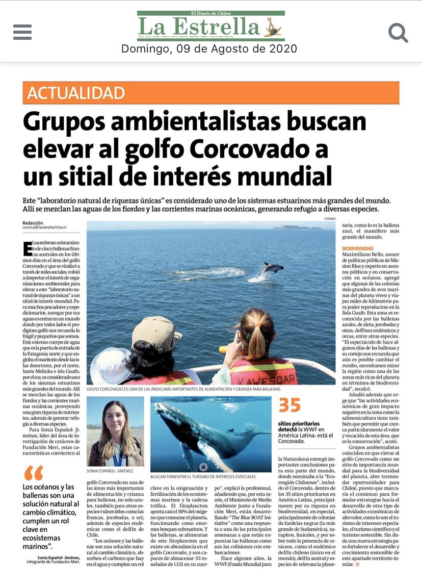 DefendamsChiloe's tweet photo. !!Queremos que #GolfoDelCorcovado ♥️ en #chiloé sea un sitio de interés mundial para la #Biodiversidad !!
#VamosConTodo 🐋 #ChiloéParaísoDeBallenas 👍@max_bello_m @jcviveroskobus @soychiloe @FundacionMeri @MissionBlue @MMAChile @CarolaSchmidtZ @marcelomena @CNNChile @ladera_sur https://t.co/taOET3JmpC