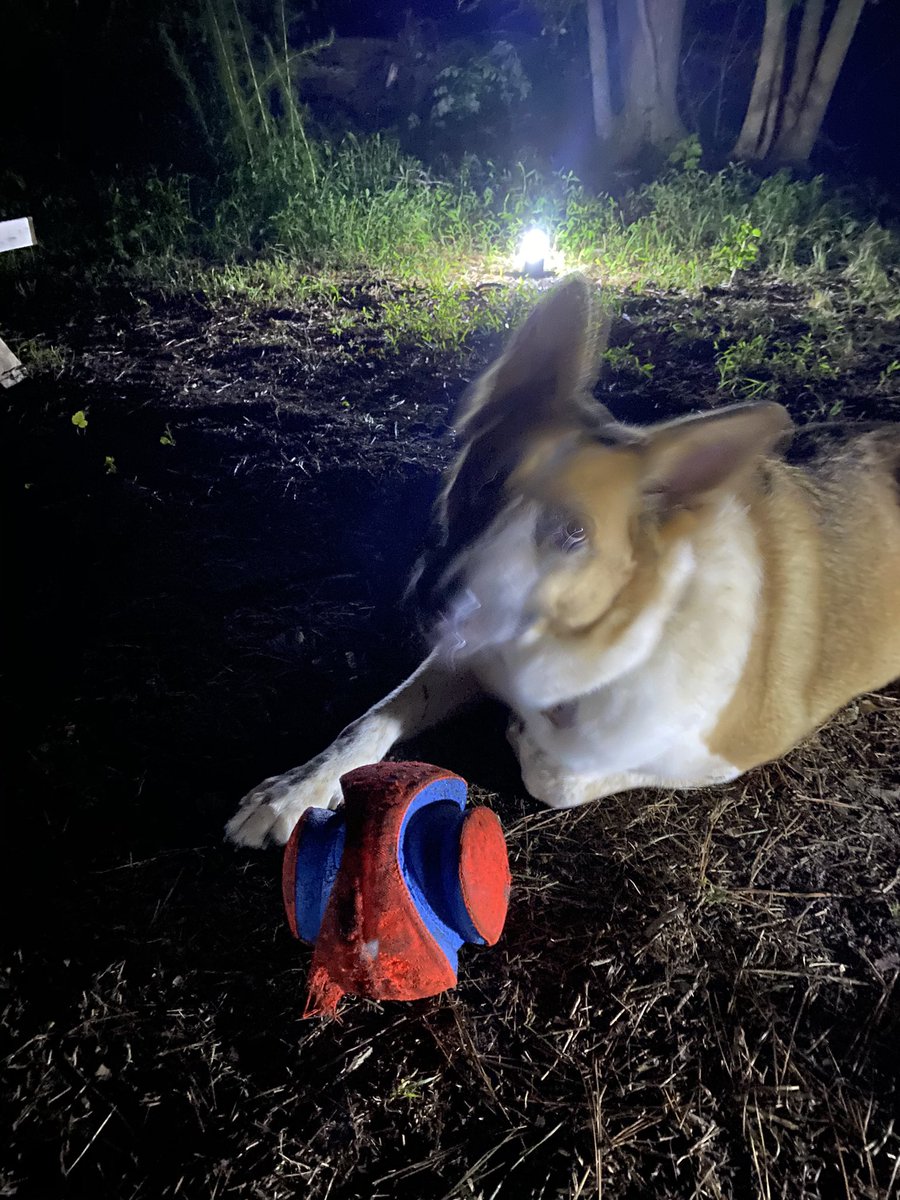 goodboywilson's tweet photo. the never-ending park trip 😍🔥✨ https://t.co/T5FOEtTWX1