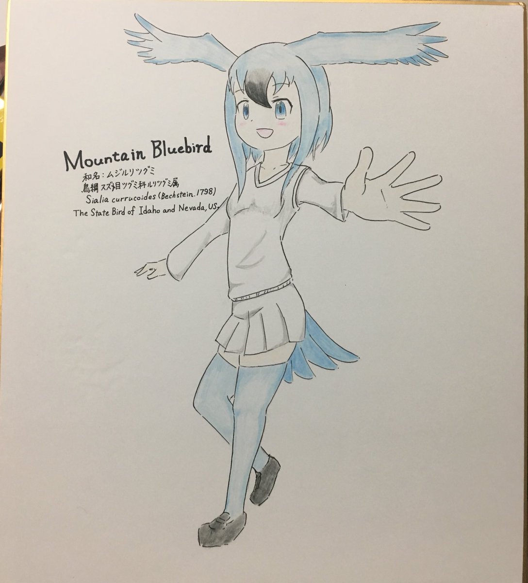 Twoucan マウンテンブルーバード の注目ツイート イラスト マンガ Twoucan マウンテンブルーバード の注目ツイート イラスト マンガ