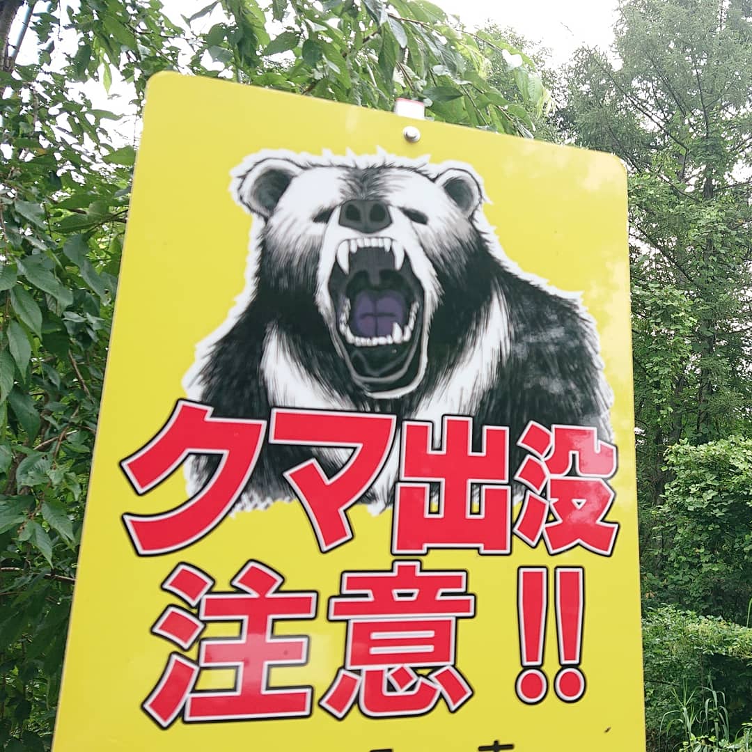 熊がテントを襲撃し 上高地のキャンプ場が閉鎖に テントに食料を入れるのは厳禁 という意外と知られていない野外の鉄則の話 Togetter