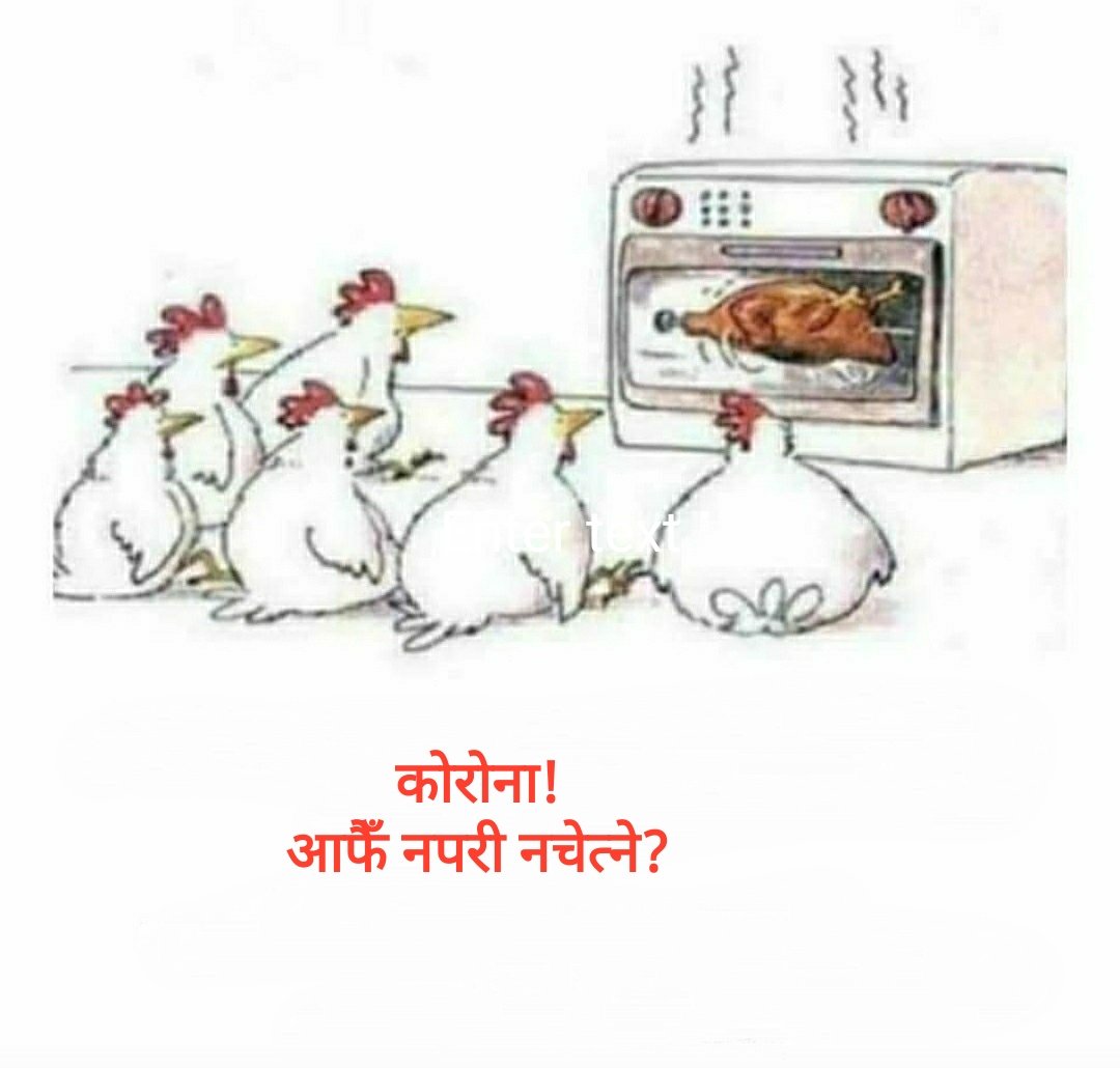 RaameshKoirala's tweet photo. कोरोना र हामी! https://t.co/781mYpyNI7