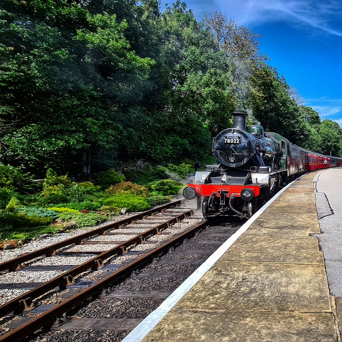 Matthew Stroh tweet media