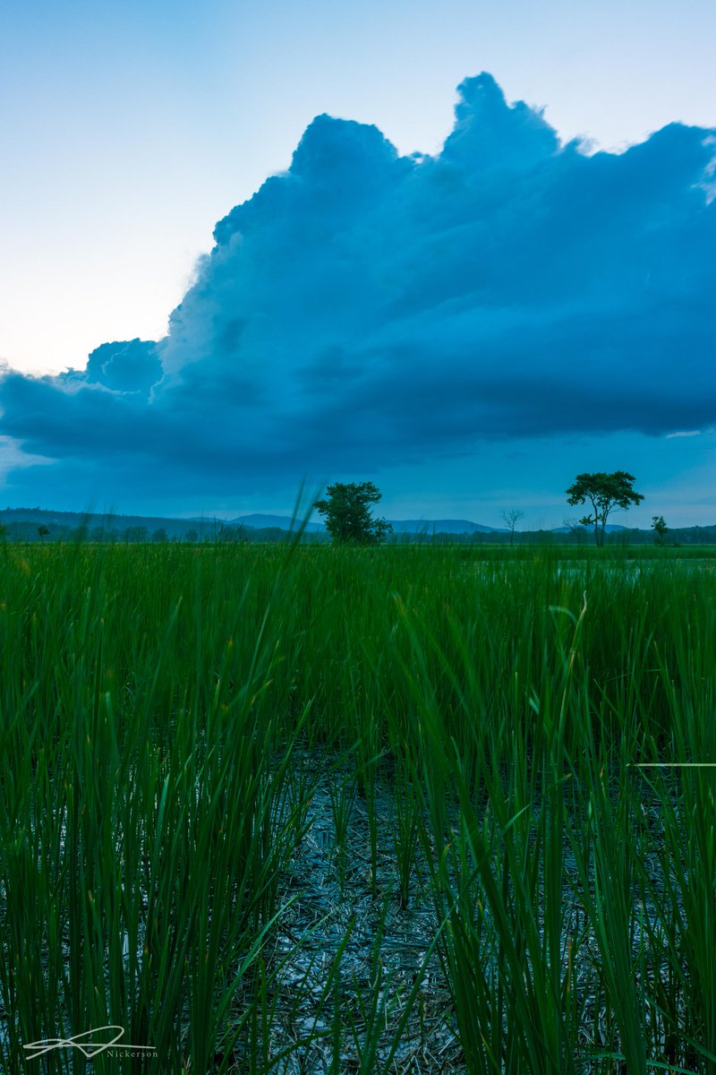 Nerepis Marsh, Storm clouds rolling in
#newbrunswick #explorenb #grandbaywestfield