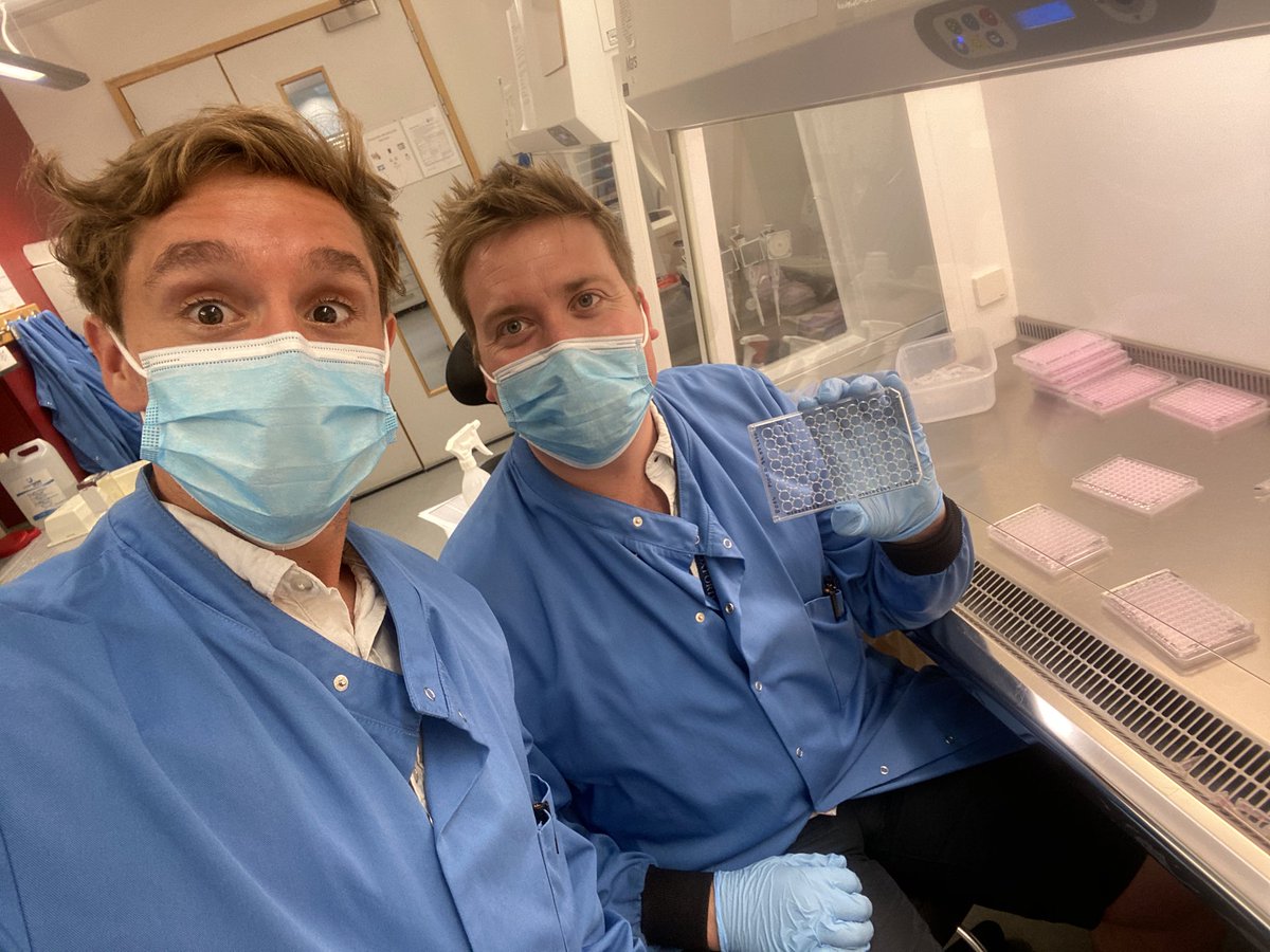 helloitsandres's tweet image. Thanks for the platform!
1️⃣ Vaccines, public health and malaria
2️⃣ 🇦🇷 
3️⃣ I’m based in Oxford and working on COVID-19 vaccine atm (photo) - my last int’l trip was to Arg. Handing in my PhD in Jan, going back to clinical work next year!
4️⃣ @camilahcoelho @DrShaziaRuybal