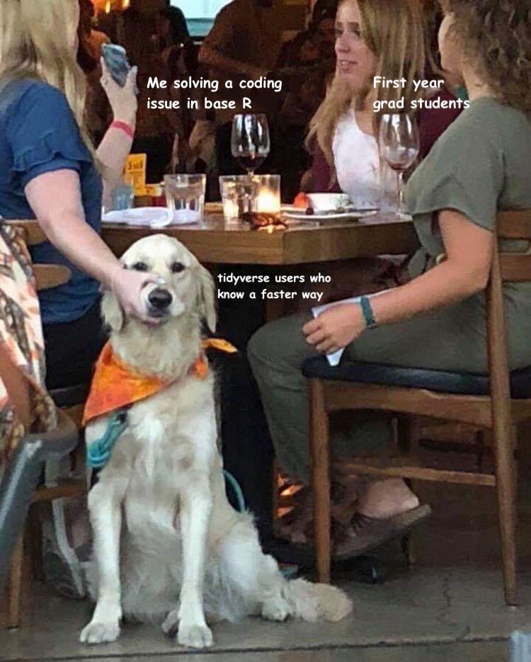 spoonbill_hank's tweet image. 