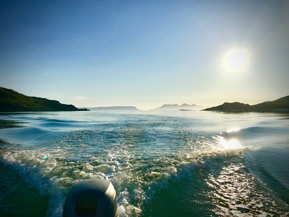 No fish but cracking night for it.