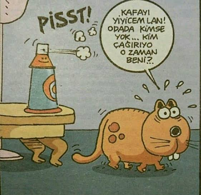 heypativet's tweet photo. KEDİLER KENDİ İSİMLERİNİ ANLAYABİLİR Mİ?
#Kedi #kedilerguenue #kedilergunu #CatDay #cats #Cat https://t.co/xfUGQDjeQh https://t.co/lnhgfhEpLL