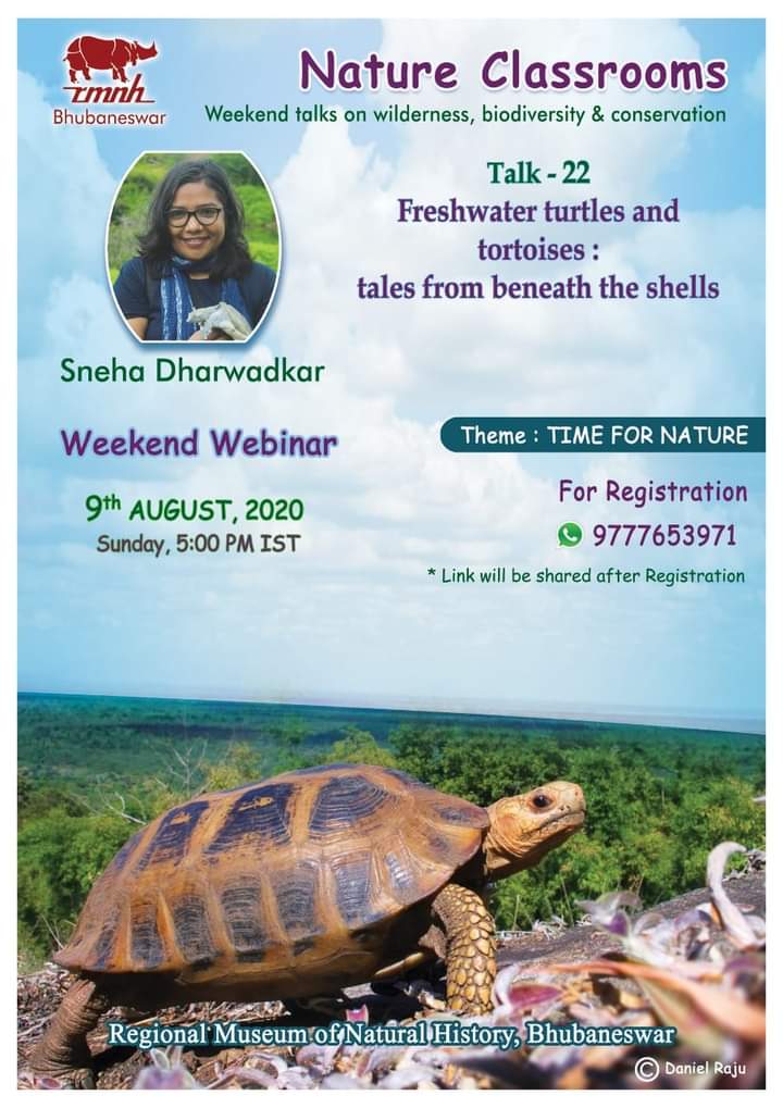 FttfIndia's tweet image. Today we have @Herpomania giving an intro webinar on freshwater turtles and tortoises, open to one and all! Register soon!
#HERpers #HerpetALLogy #indianturtles #scicomm