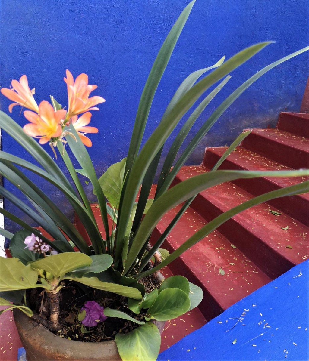 SundayTimesTravelMag tweet media