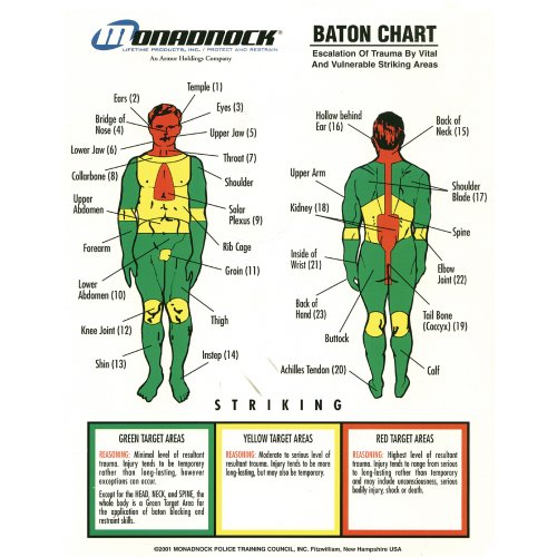 Police Baton Vital Areas to Protect