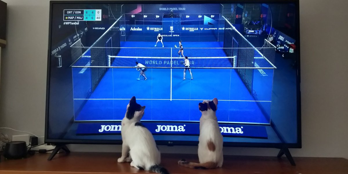 ion_reyes's tweet photo. @WorldPadelTour  #WPTenGol  dos nuevas fans! https://t.co/qYdtehZSkf