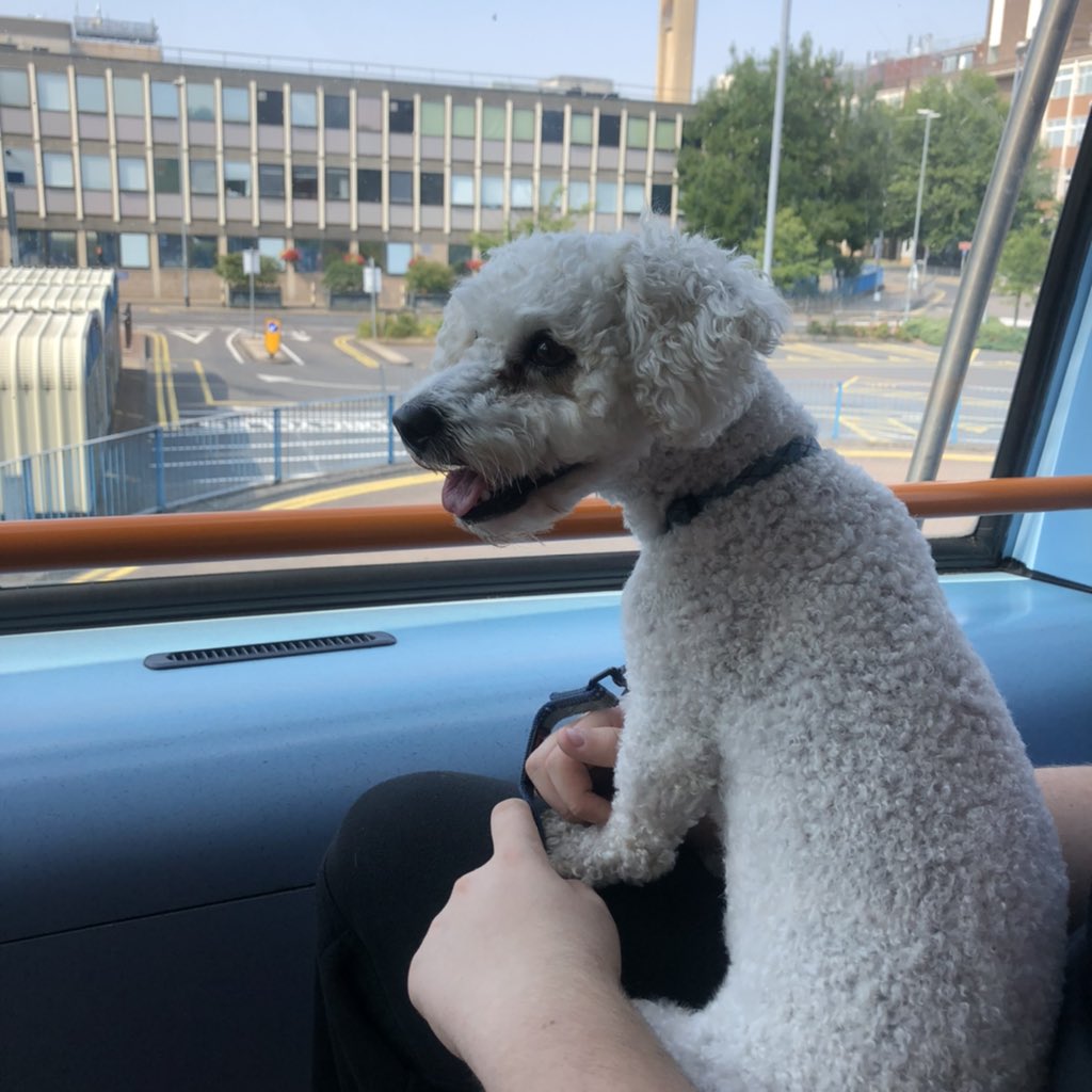 Bill Dale tweet media