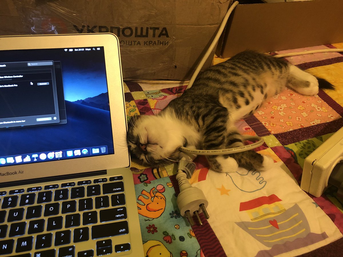 TheLastSkywalkwerr tweet media