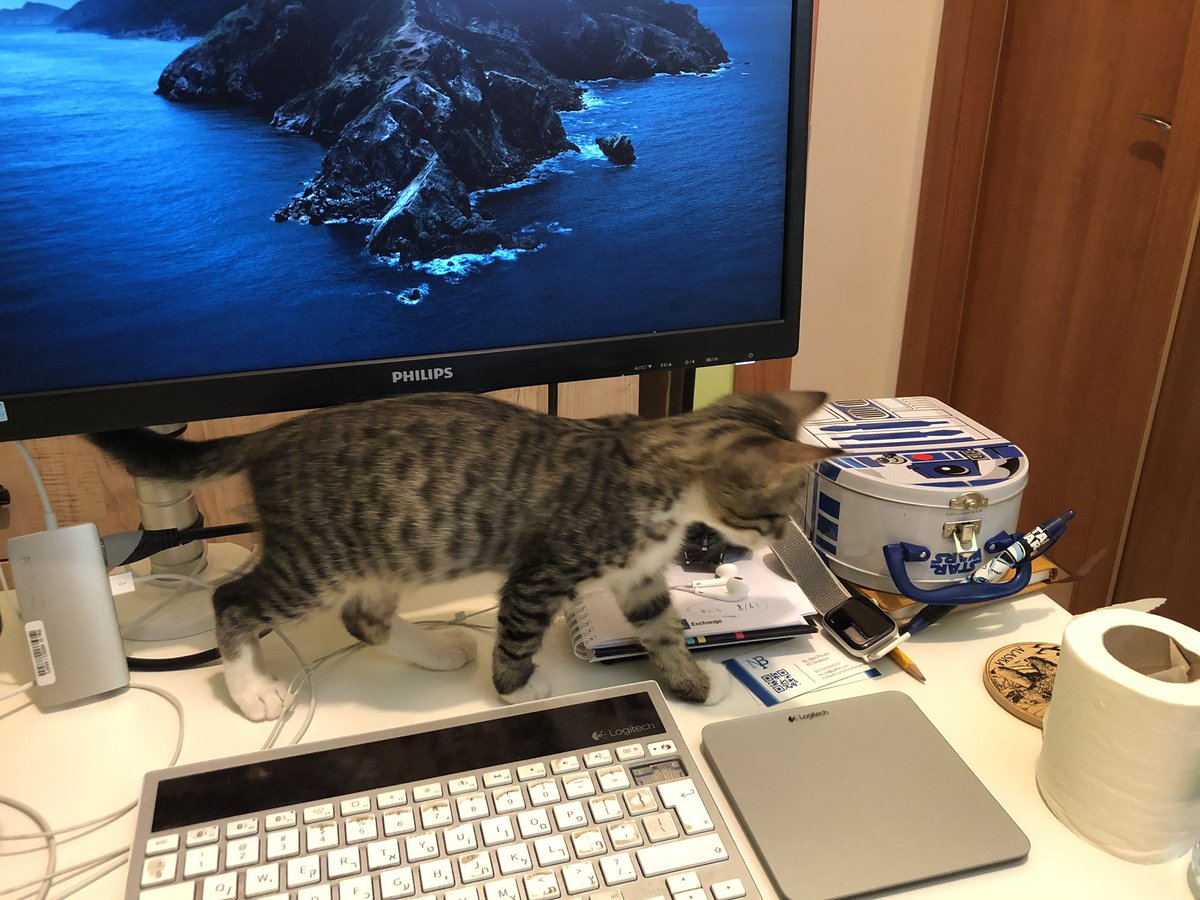 TheLastSkywalkwerr tweet media