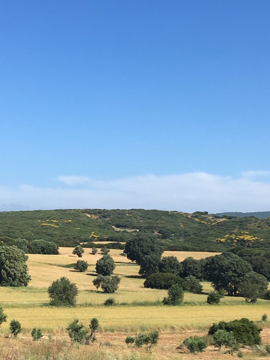 Victor served with the 6th battalion Lincolnshire Regiment and together with the 6th Borders and 7th South Staffordshire’s attacked towards Ismail Oglu Tepe. Scimitar Hill overlooked their area of advance and was erroneously believed to be held by British soldiers.