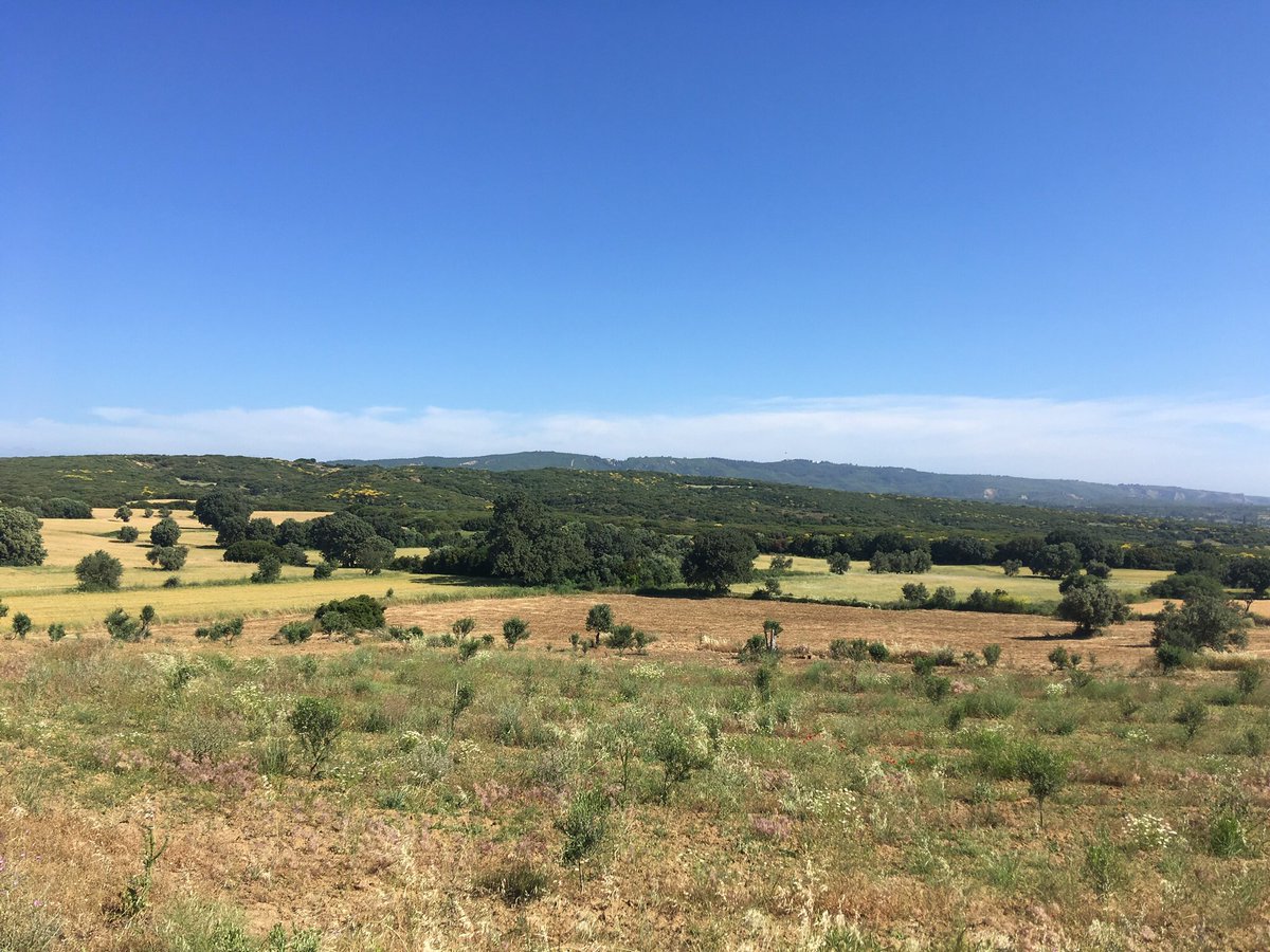 Victor served with the 6th battalion Lincolnshire Regiment and together with the 6th Borders and 7th South Staffordshire’s attacked towards Ismail Oglu Tepe. Scimitar Hill overlooked their area of advance and was erroneously believed to be held by British soldiers.