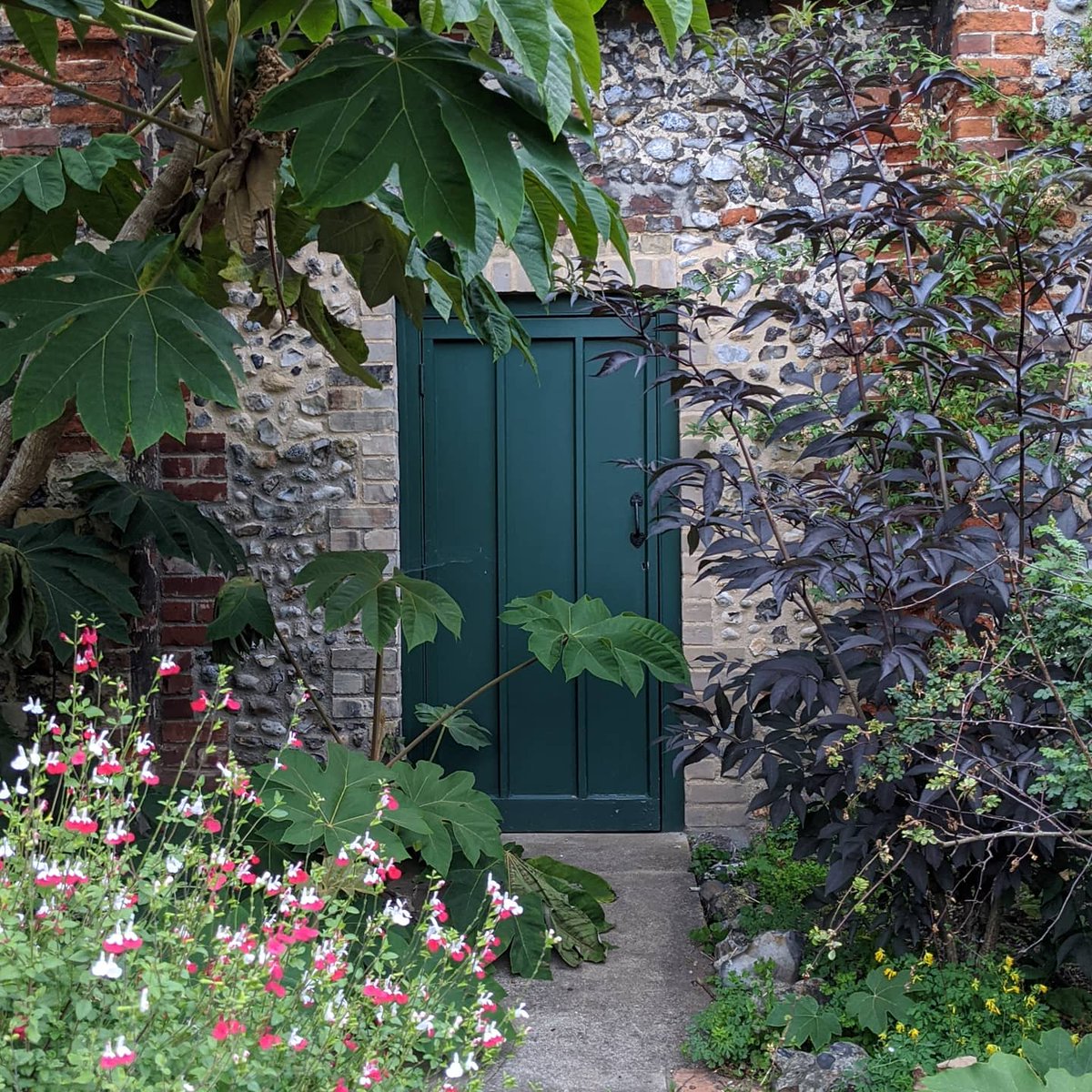 Door 29: (a cheat) a door in the wall of the Bishops Gardens, Norwich