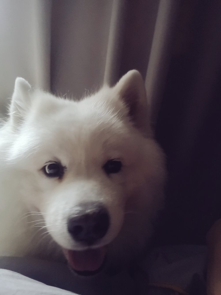 Ruth Medjber 📸⚡ tweet media