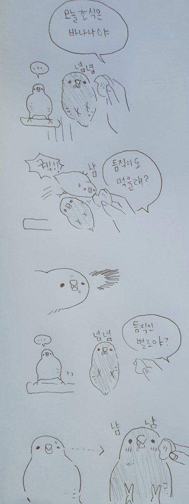 식탐도 강하지만 편식도 하는 듬직이 