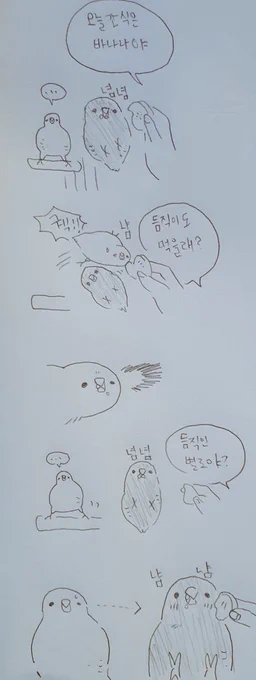 식탐도 강하지만 편식도 하는 듬직이 