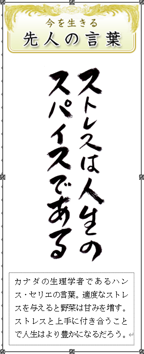 ハンス セリエ Twitter Search Twitter