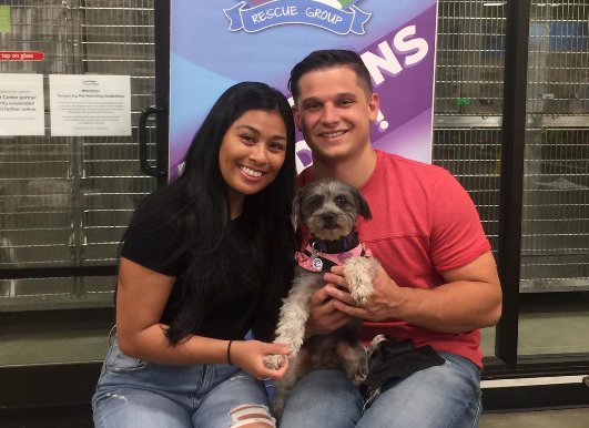 MOLLY #rescuedog #adopted - “We instantly connected with Molly' 'She’s the best cuddler and always makes us laugh' #Congratulations Thank you @Walmart City of Industry for your grant, you helped this @seaaca_shelter girl to become healthy! #BetterTogether @PetSmart @petfinder