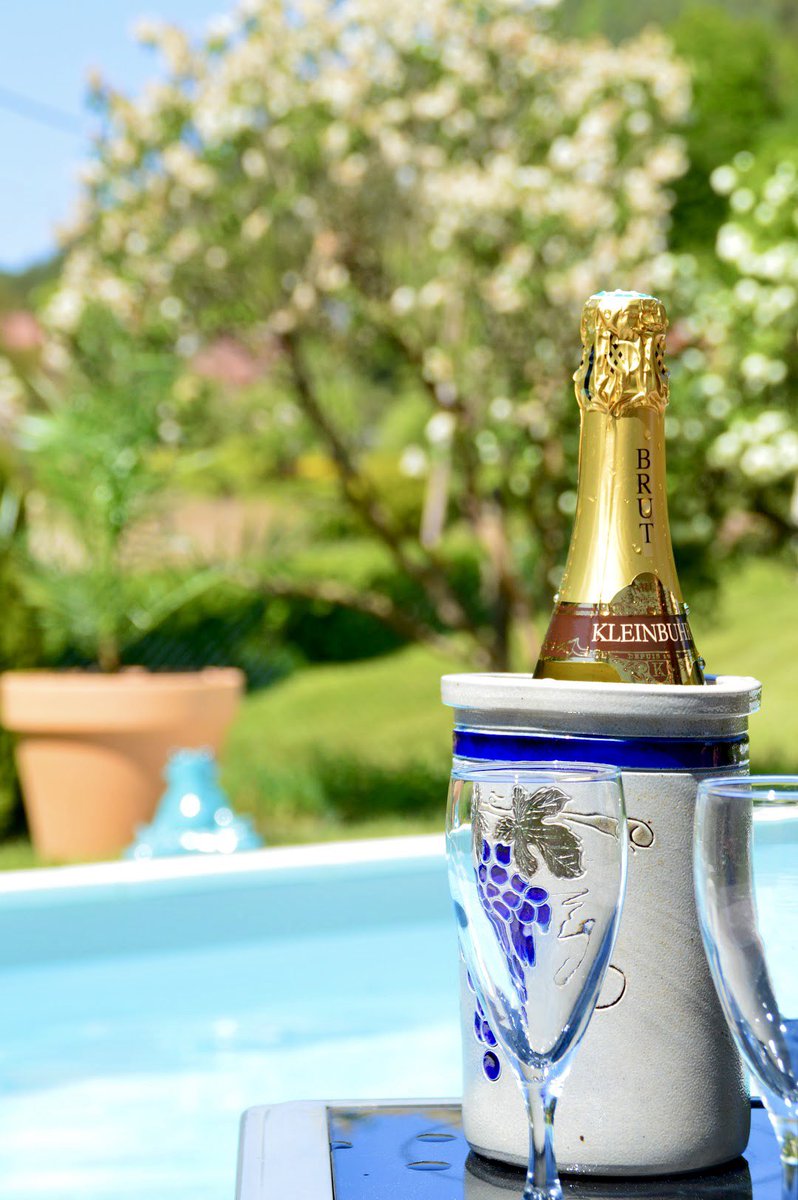 #sturzelbronn #vosgesdunord #mosl #gitedelecureuil #abritel #homeaway #airbnb #cetetejevisitelafrance #privatepool