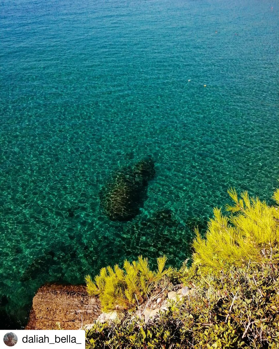 CCIAARIVLIG's tweet photo. Estate in Liguria
#calandre #Ventimiglia #Imperia
Ph ig @ daliah_bella_ https://t.co/Wip1e0BVEh