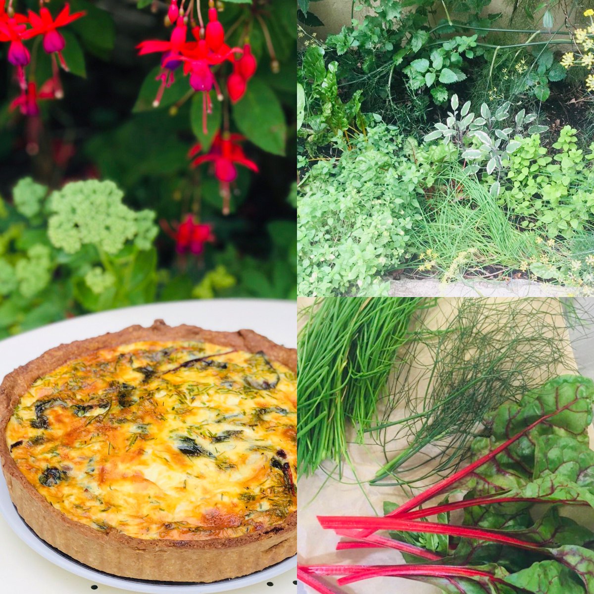 lucystearoom's tweet photo. Lunch at Lucy’s today is a spinach, feta, fennel and chive quiche. The spinach, chives and fennel were picked from the courtyard garden by our excellent chef this morning. It doesn’t get much fresher than that!                                                 #fresh #freshfood https://t.co/TVrMVemnd8
