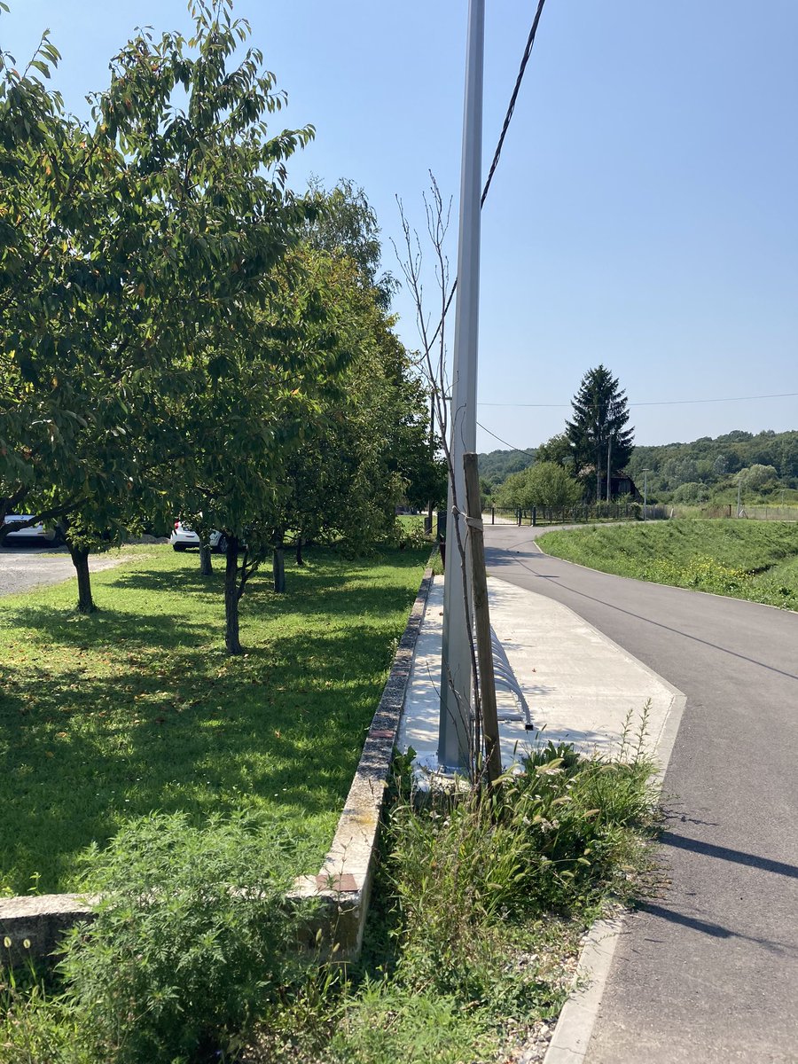 Right tree in the right place

Done wrong 😒
#Zagreb #urbangreeninfrastructure