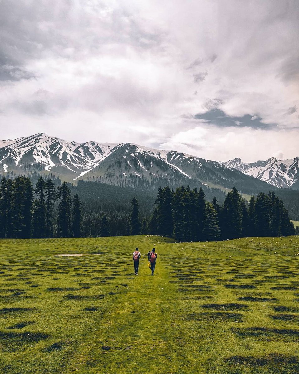 hamiast's tweet photo. Repost 
Pic and Text by @im_munz 
Out beyond ideas of wrongdoing and rightdoing there  is a field. I'll meet you there When the soul lies down in that grass, the world is too full to talk about ― Rumi
.
.
.
.
.
🚩 Location Chiranbal 20 km south of Shopian
#kashmir https://t.co/GYkcR8NC0R