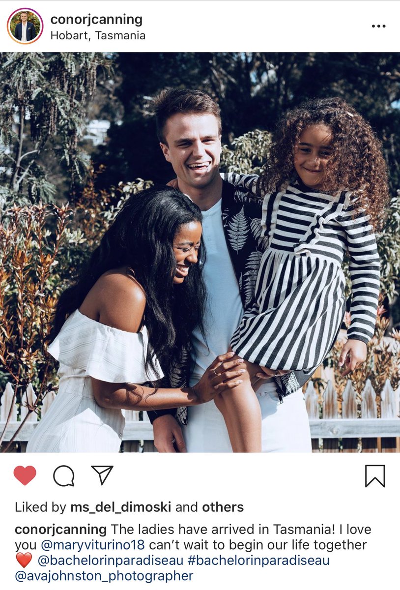 Stephanie tweet media