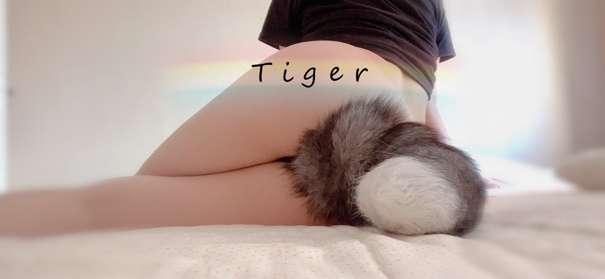Tiger tweet media