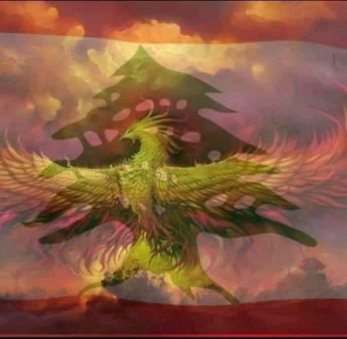 azarNab's tweet photo. #Lebanon will #Rise again like the Phoenix.A promiss that all the  Corrupted ones &amp;Murderers  whom all the World know them by now, will pay the price this time.We will build again the capital with the help of all the #countries who are #aiding #without_limit &amp;with #love,Thank you https://t.co/0JkmvluWd1
