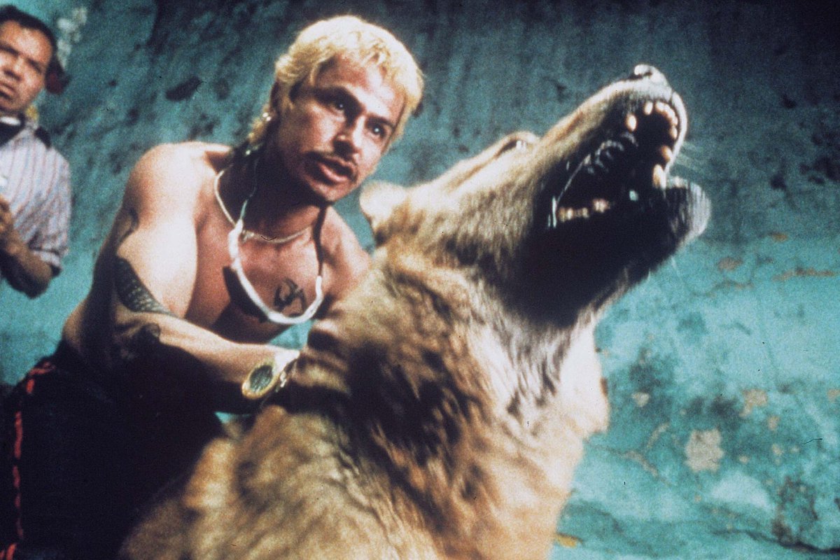 "Tanrını güldürmək istəyirsənsə, ona gələcək planlarından bəhs et"

🎬Amores Perros (2000)