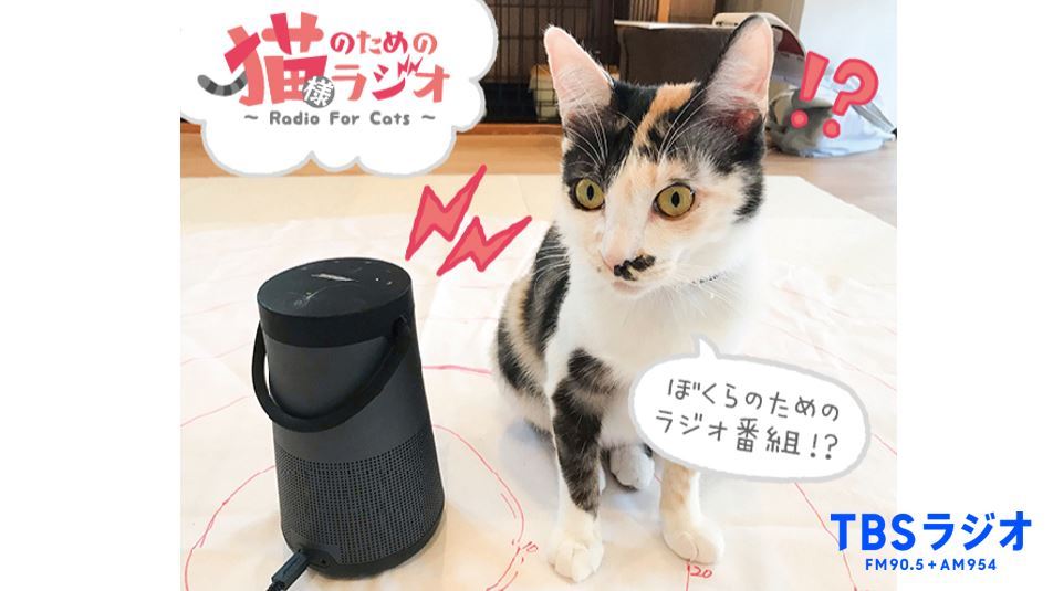 猫が好きな音 Twitter Search Twitter