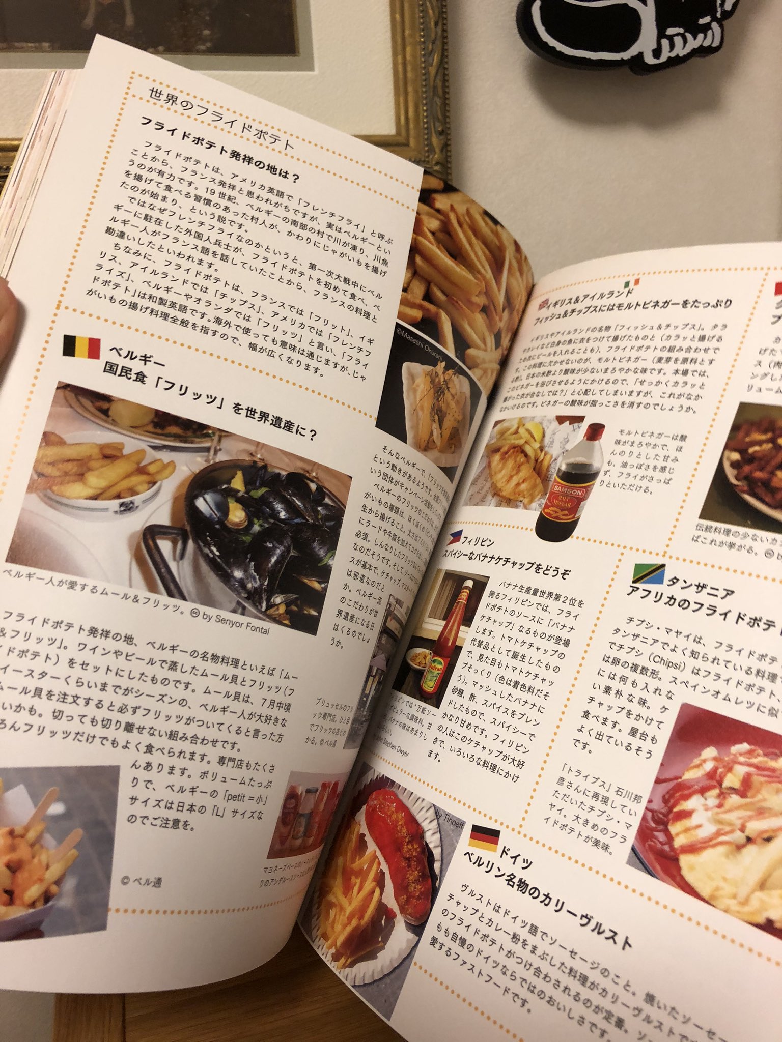 深緑野分 Pa Twitter さっきほぃかわさんにおすすめしたじゃがいも料理本すごい楽しいのです ヨーロッパ から中東 アフリカ アジア 南米 北米 ロシア 世界中のじゃがいも料理のレシピとデータ 分厚い 毛皮のコートを着たニシンも作れる T Co