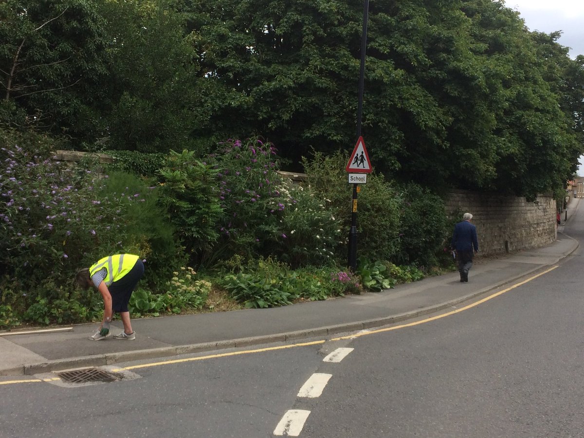 ripon in bloom tweet media