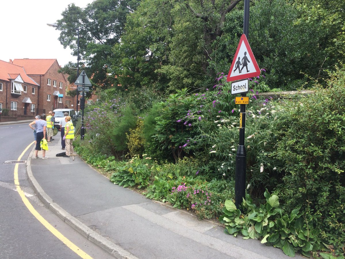 ripon in bloom tweet media