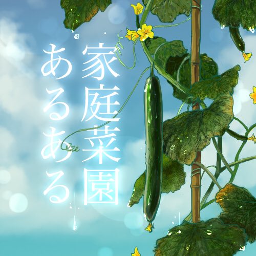 【日々漫画45】「家庭菜園あるある」
特に今年は雨多くて、少しの晴れ間に庭を見ると出来てたりしたなぁ。。Twitterには、表紙つけないことにしました^^
#イラスト #illustration #漫画 #イラストエッセイ #家庭菜園 #きゅうり 