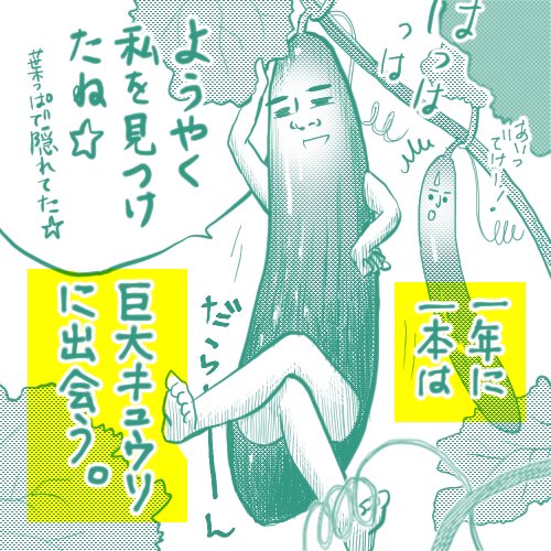 【日々漫画45】「家庭菜園あるある」
特に今年は雨多くて、少しの晴れ間に庭を見ると出来てたりしたなぁ。。Twitterには、表紙つけないことにしました^^
#イラスト #illustration #漫画 #イラストエッセイ #家庭菜園 #きゅうり 