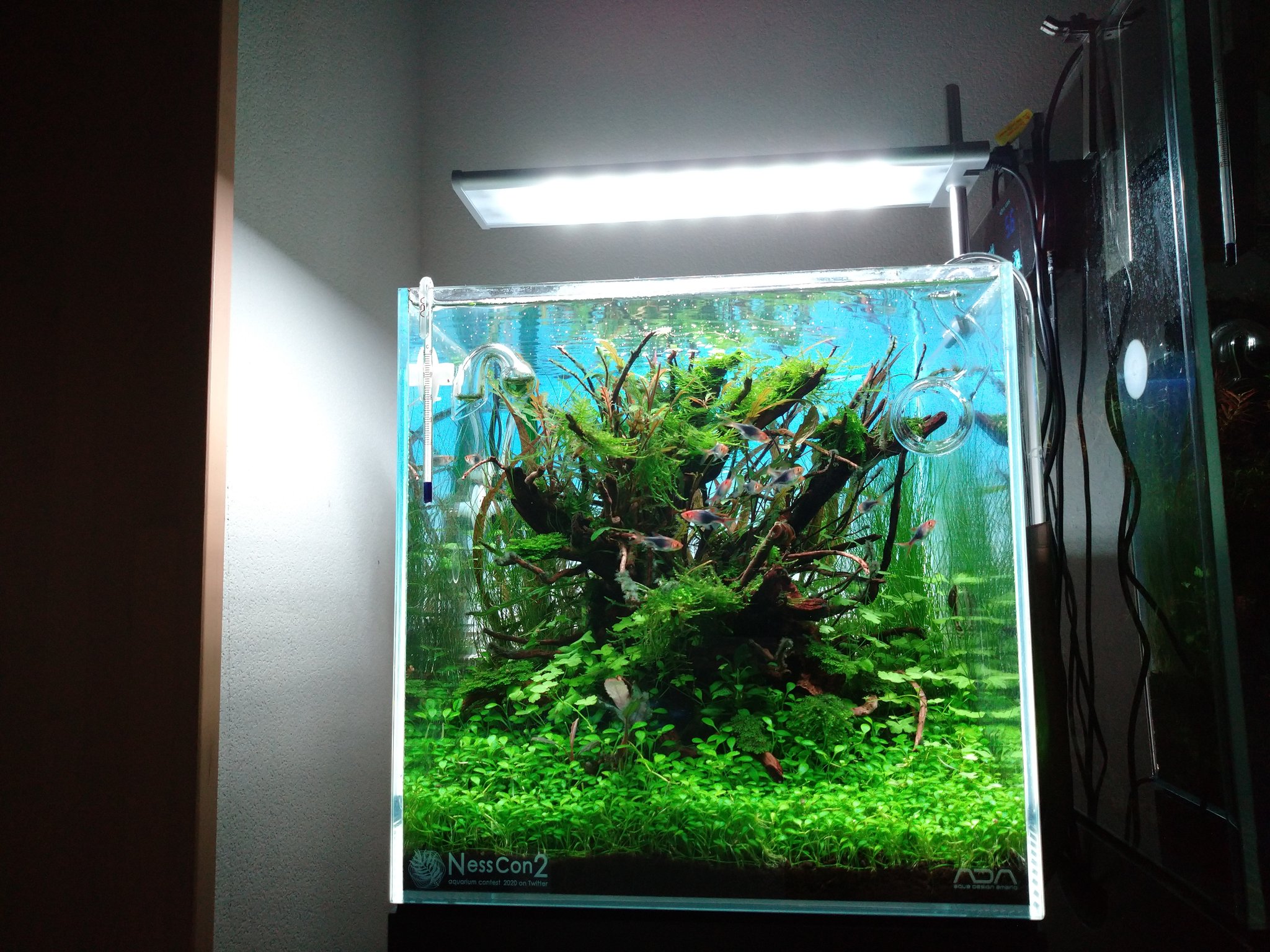 ADA DOOA SOL STAND RGB 照明スタンド②