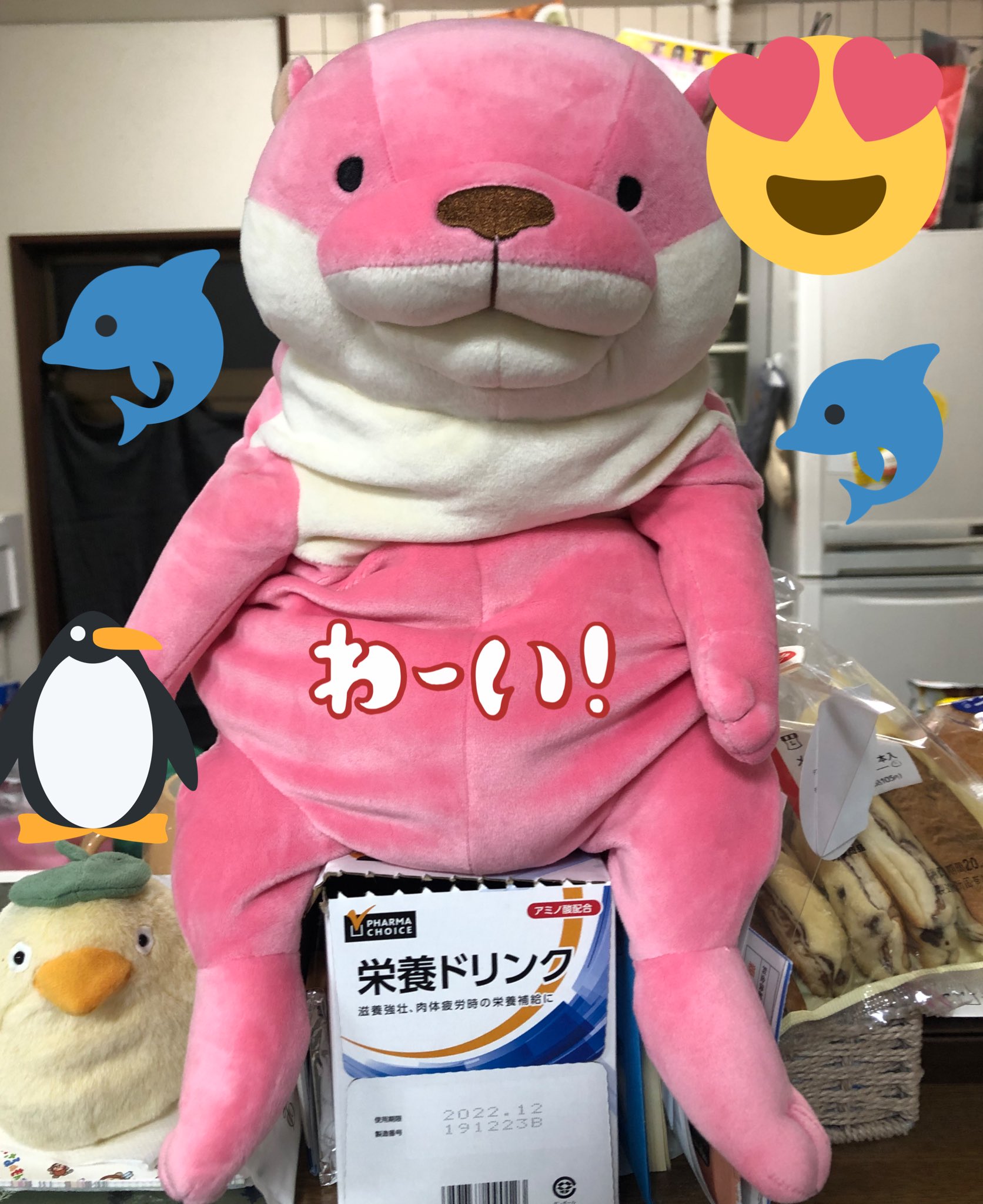 おばはんカワウソ☆はまカワウソLサイズ 限定 桂浜水族館