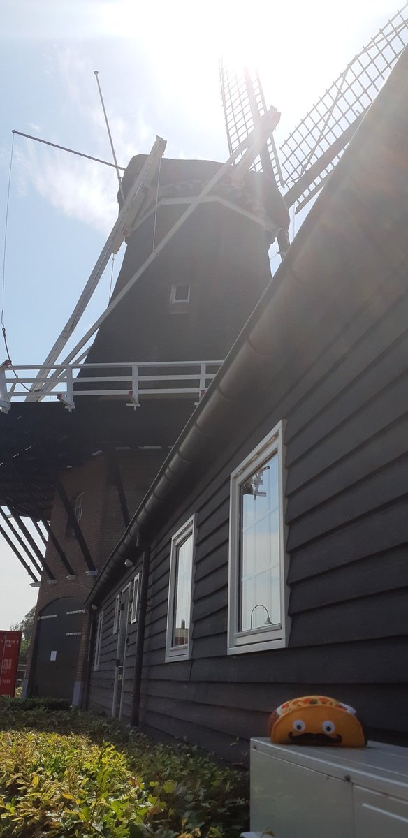 Sr. Taco (Crispy) tweet media