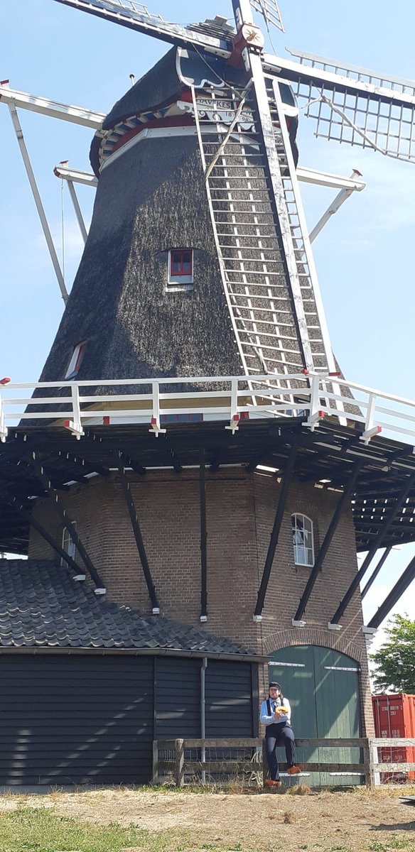 Sr. Taco (Crispy) tweet media