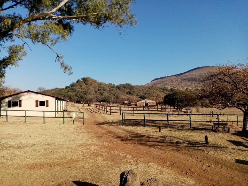 “There is no limit to what we, as women, can accomplish.”
It's Another beautiful day on the farm! Why not come and explore...
#ShareSouthAfrica 
#womansday2020 
#nature #wildlife #hiking #outdoors